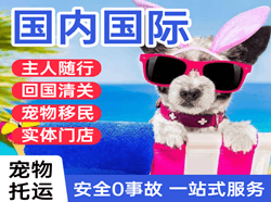 两江机场空运国际宠物托运 【国